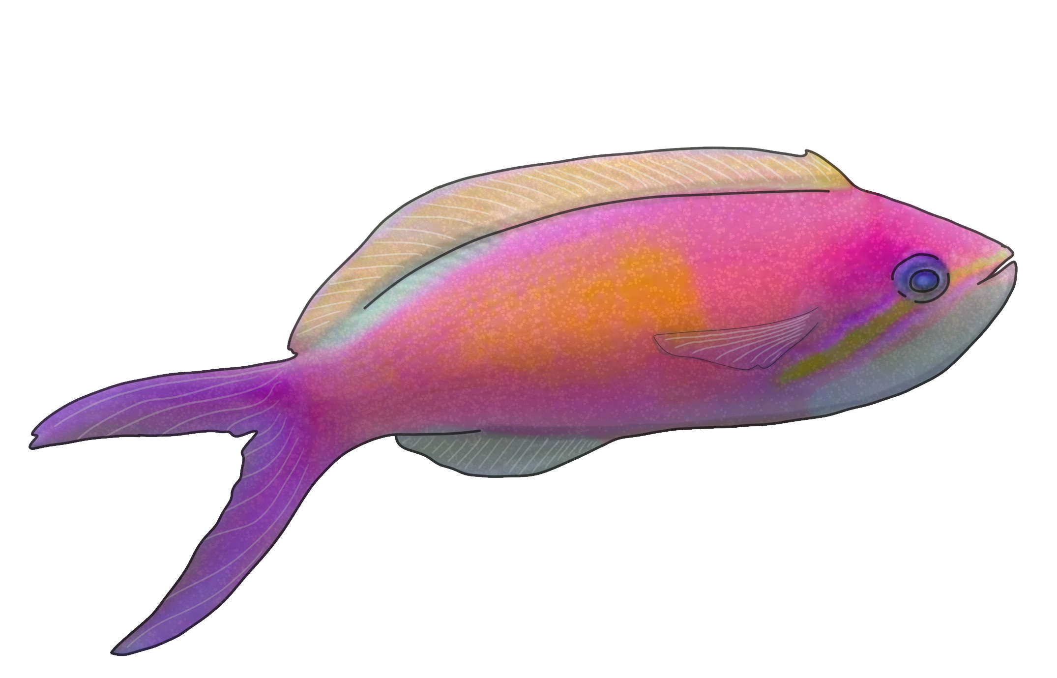 Nemanthias carberryi